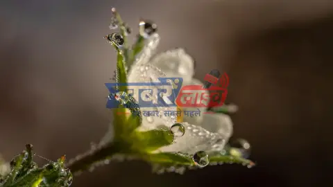 नमो घाट – वाराणसी में प्रधानमंत्री नरेंद्र मोदी के स्वागत की तैयारियां