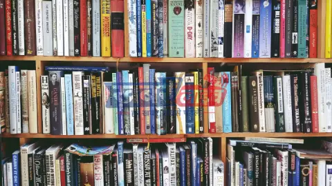 NCERT – एनसीईआरटी की नई किताबें और पाठ्यक्रम