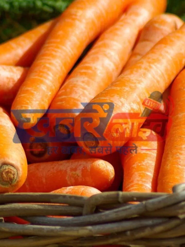 सर्दियों में सेहत और इम्युनिटी से जुड़ी जानकारी — ख़बरें लाइव हेल्थ